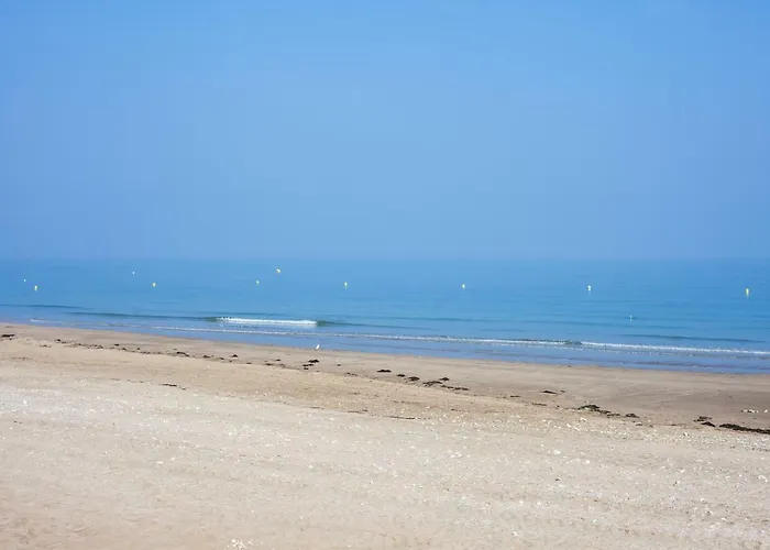 Tres Bel Ideal Couple Et Famille *